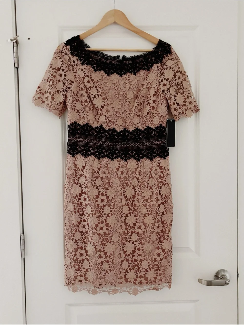NWT SHANI Colorblock Lace Sheath Dress Champagne 10